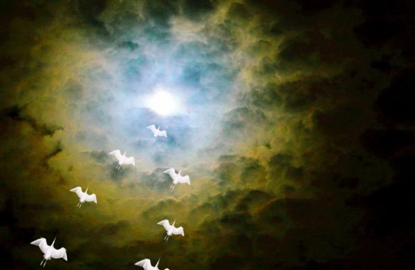 Журавль в небе