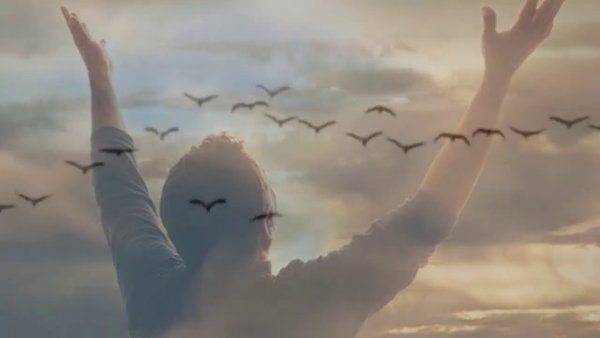 Мужчина и летящие Журавли