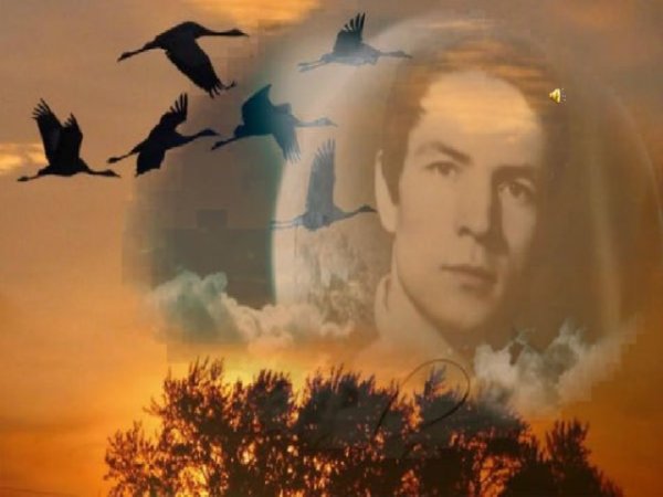 Птицы в ночном небе