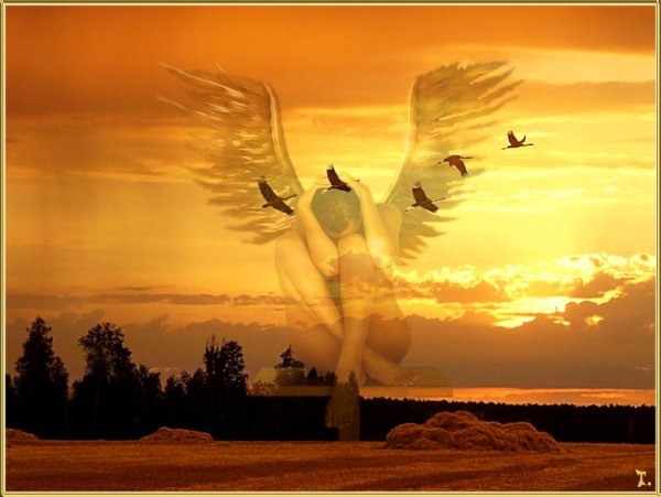 Журавлиный Клин стихи