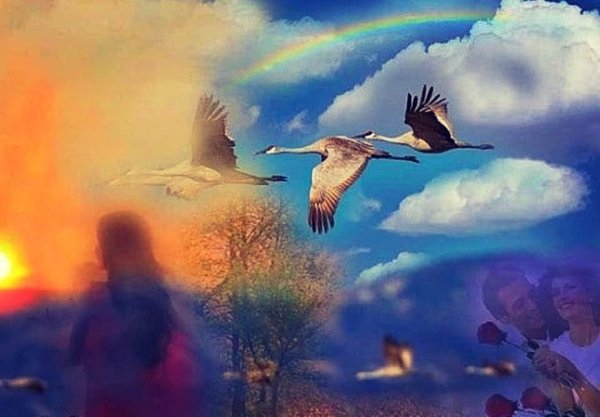 Журавли в небе война