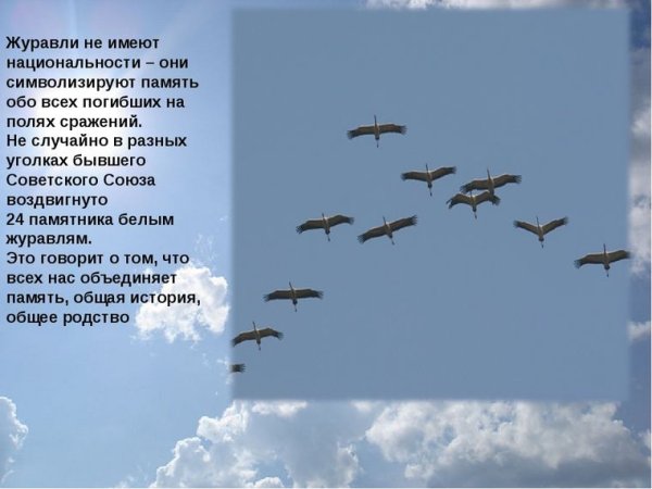 Стих Журавли Расул Гамзатов