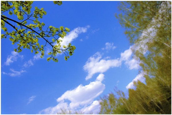 Пейзаж рассвет