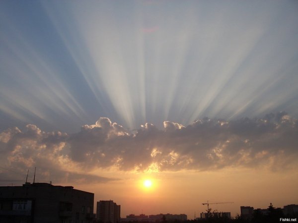 Рассвет туман