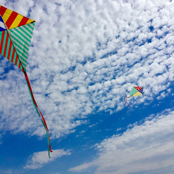 Воздушный змей