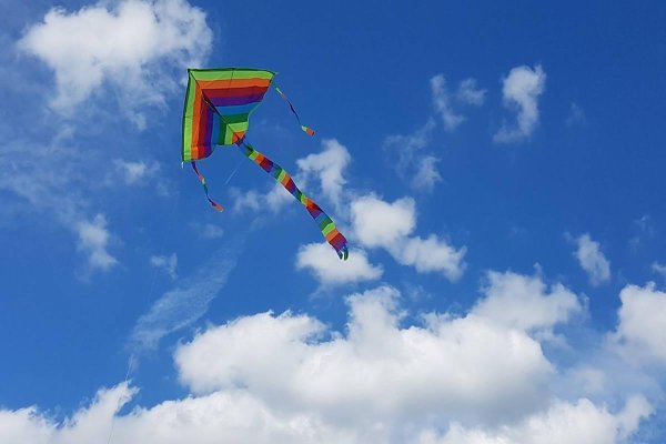 Flying Kite Day