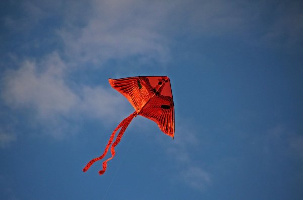 Воздушный змей (арт. Kr-9848)