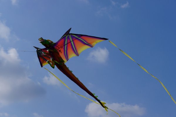 Ребенок с воздушным змеем