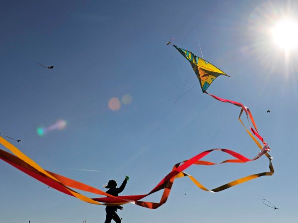 День воздушных змеев