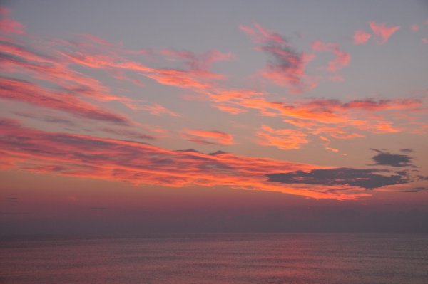 Небесные цветы