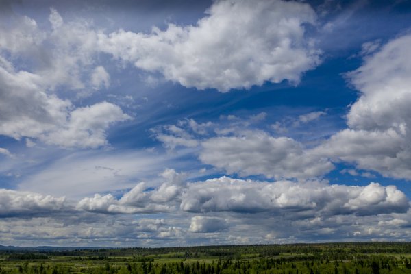 Небо мультяшное