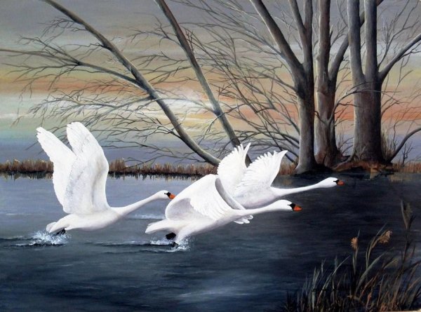 Птицы в небе зима