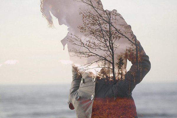 Ждать цитаты