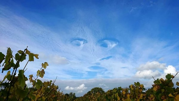 Космос в глазах