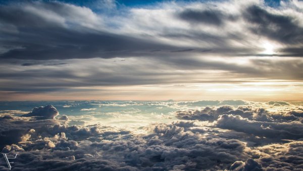 Небо Горизонт деревья