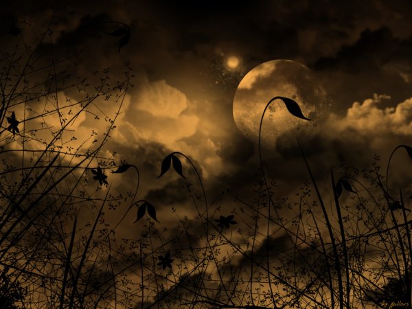 Мистическая ночь