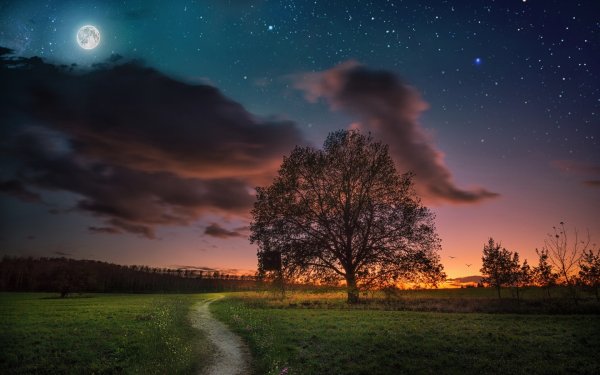 Аниме закат