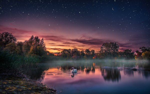 Ночной пейзаж