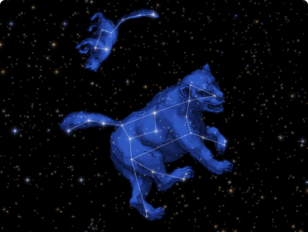 Felis Созвездие