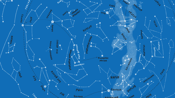 Большая Медведица (Ursa Major)