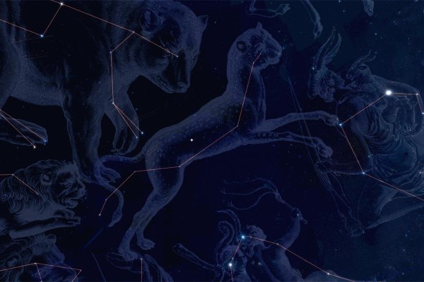 Разные Созвездие животных