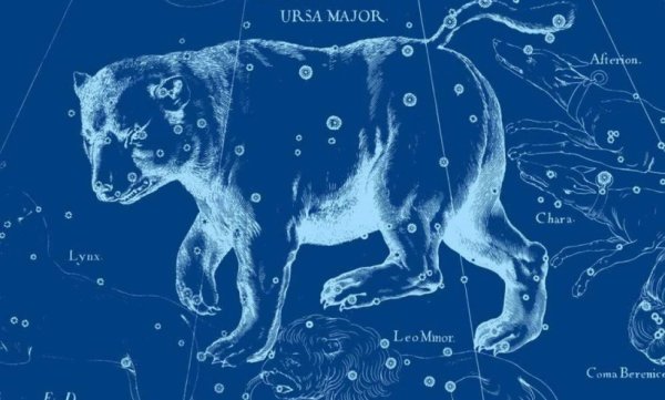 Лев на Звездном небе