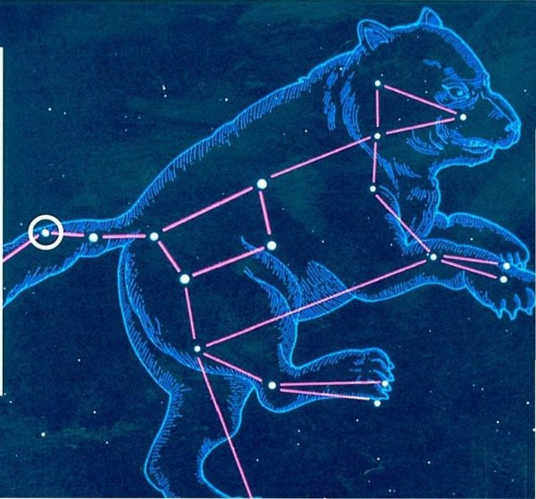 Созвездие Льва регул