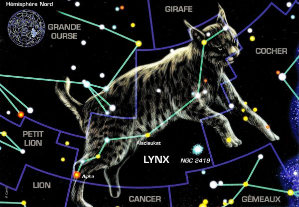 Изготовить модель созвездия Льва