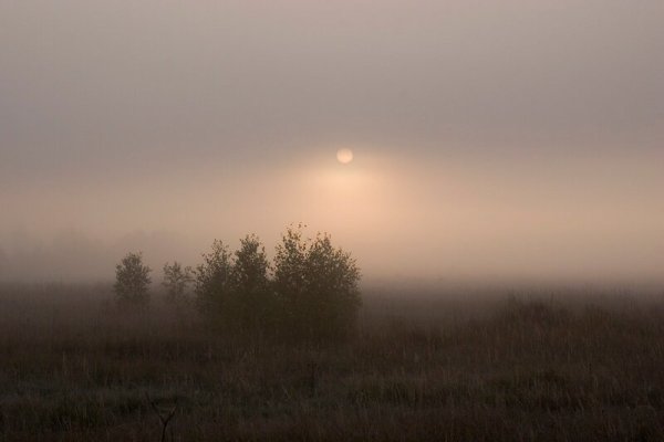 Перламутровый туман
