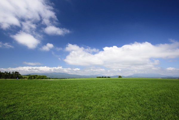 Природа поле