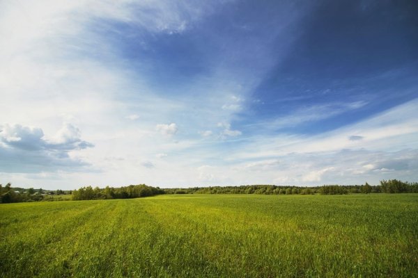 Голубое небо Горизонт