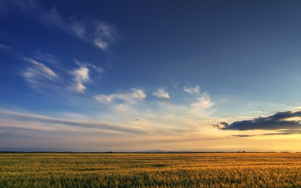 Небо России