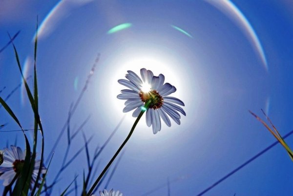 Чистое небо Горизонт