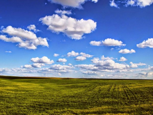 Зеленый луг и небо