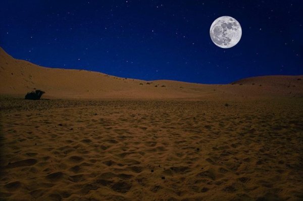 Ночное небо Техаса