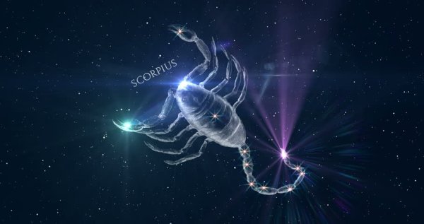 Зодиакальное Созвездие Скорпион