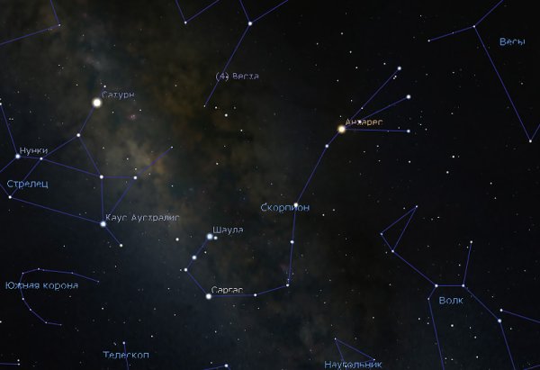 Скорпион (Scorpius) Созвездие