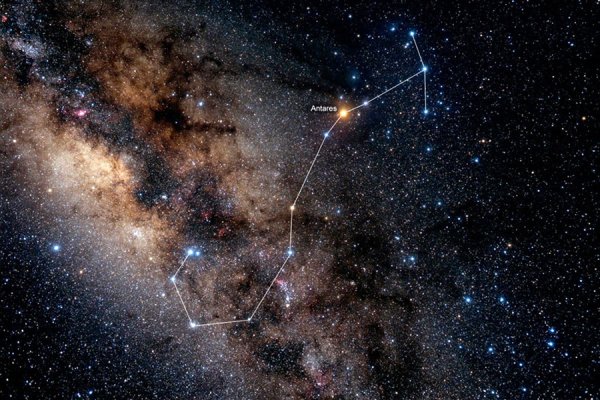 Красивое Созвездие скорпиона