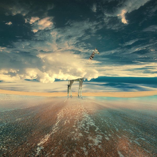 Сюрреализм Минимализм