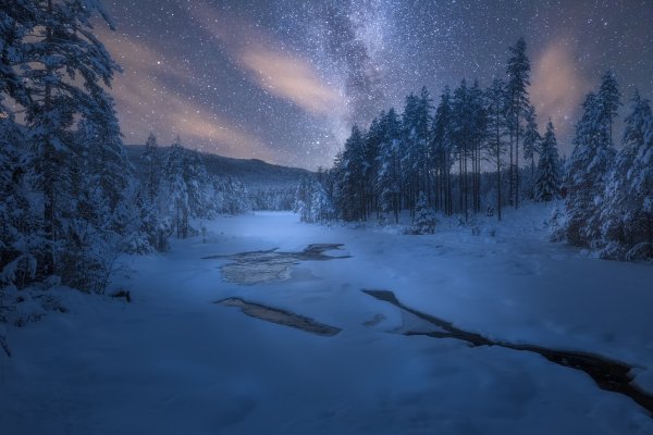Зимний лес ночью