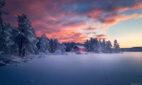 Закат в зимнем лесу