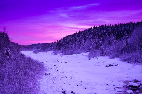 Фиолетовая природа