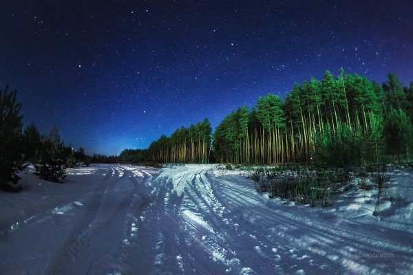 Зимняя дорога в лесу