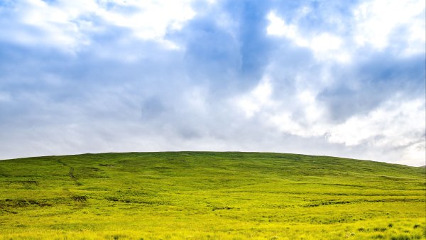 Голубое небо и деревья