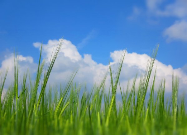 Пейзаж небо