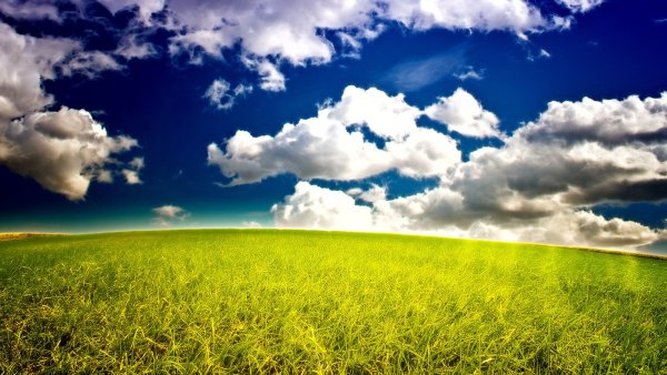 Ветер в поле