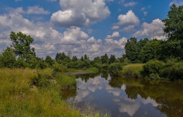 Фёдор Тютчев в небе тают облака