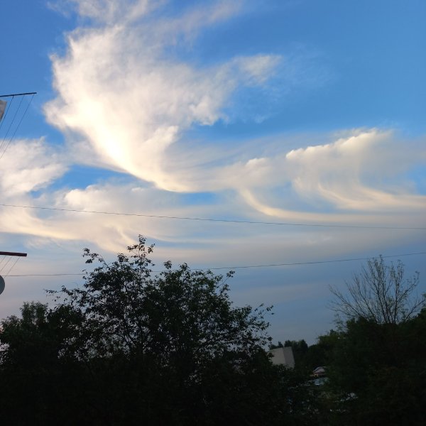 Стихотворение Тютчева в небе тают облака