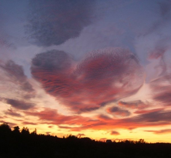 Сердце в небе