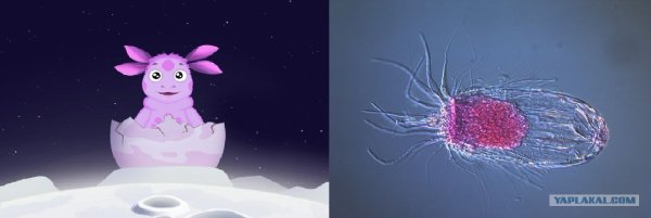 Яйцо Лунтика на Луне